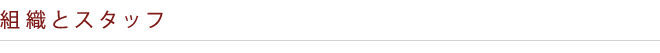 組織とスタッフ