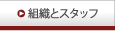 組織とスタッフ
